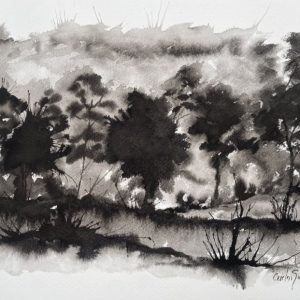 Último Camino