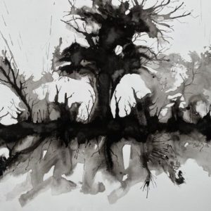 Árbol Viejo