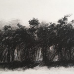 Bosque negro